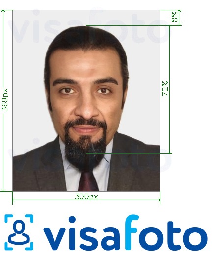 Tam boyut belirtimi olan BAE Visa çevrimiçi Emirates.com 300x369 piksel için fotoğraf örneği