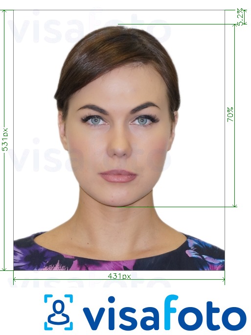 Tam boyut belirtimi olan Brezilya Visa çevrimiçi 431x531 piksel için fotoğraf örneği