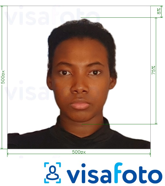 Tam boyut belirtimi olan Kamerun vizesi çevrimiçi 500x500 px için fotoğraf örneği