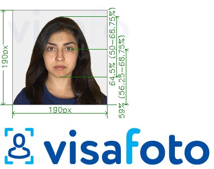 Tam boyut belirtimi olan VFSglobal.com vasıtasıyla Hindistan Visa 190x190 piksel için fotoğraf örneği
