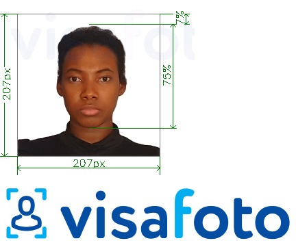 Tam boyut belirtimi olan Kenya vizesi 207x207 piksel için fotoğraf örneği