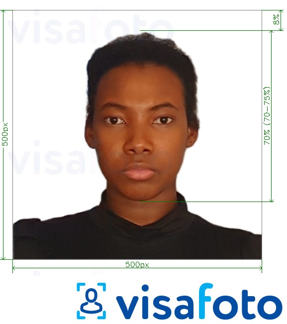 Tam boyut belirtimi olan Kenya e-vize çevrimiçi 500x500 piksel için fotoğraf örneği