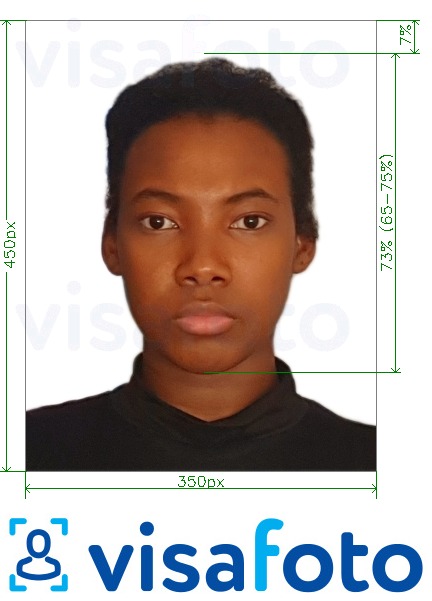 Tam boyut belirtimi olan Nijerya çevrimiçi vize 200-450 piksel için fotoğraf örneği