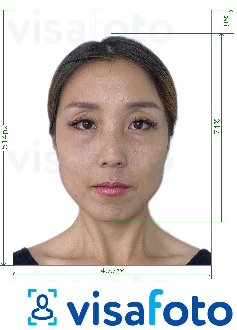 Tam boyut belirtimi olan Singapur vizesi çevrimiçi 400x514 piksel için fotoğraf örneği
